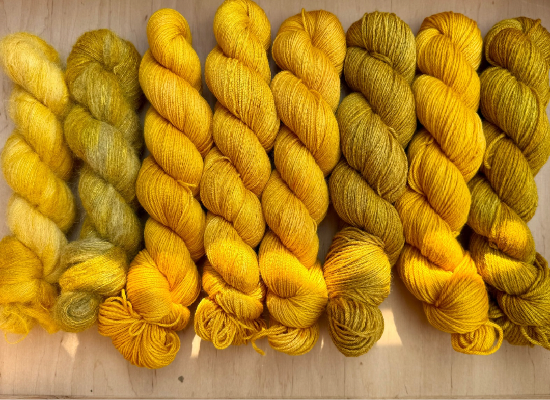 Golden Yolk - Corriedale/Cormo Sock